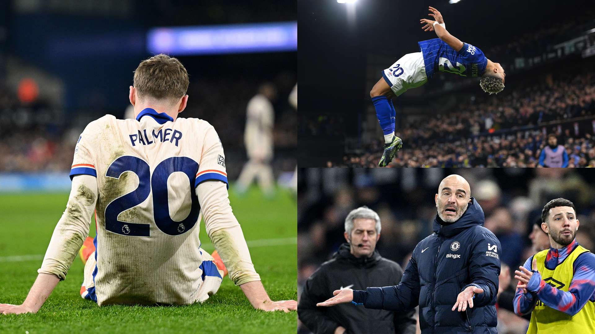 的商业运作 的商业运作